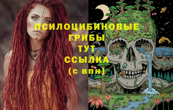 твердый Куйбышев