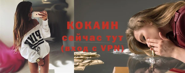мяу мяу мука Кукмор