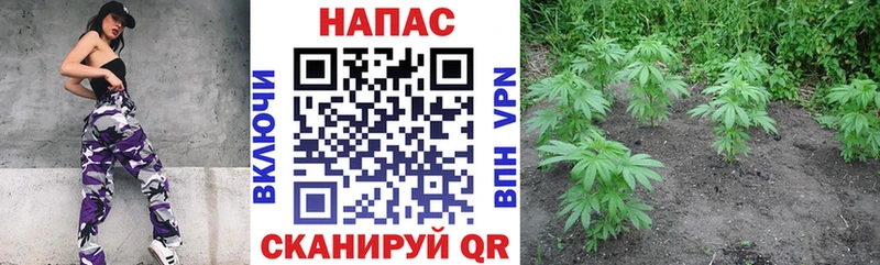 Марихуана AK-47  hydra вход  Черепаново 